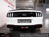 Ford Mustang 5.0 V8 Mach1 B&O|RECARO|ACC|RFK|LED|NAVI - Ford Mustang MACH-1