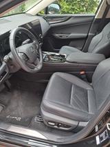 Lexus NX 350h 350h Executive Line Executive Line - Lexus aus 2024: Nx