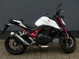 Honda CB750 Hornet inkl. Quickshifter, Tankrucksack & - HONDA HORNET