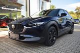 Mazda CX-30 2.0 150PS 6AG Homura Voll-LED Navi Kamera  - Mazda CX-30 mit Benzin-Antrieb: Homura