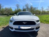Ford Mustang V6 US Modell 3,7 unfallfrei - Ford Mustang: Coupé, V6