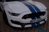 Ford Mustang Shellby GT350 - Ford Mustang: Gt350