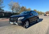 Mercedes-Benz MERCEDES BENZ ML 350 CDi - Mercedes-Benz ML 350 Gebrauchtwagen in Hamburg