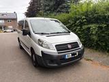 Fiat Scudo - Fiat Scudo in Essen