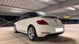Volkswagen Beetle 1.2 TSI BMT ALLSTAR Cabriolet ALLSTAR - Volkswagen Beetle: Allstar