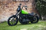 Harley-Davidson XL1200 NS Sportster Iron - HARLEY-DAVIDSON SPORTSTER XL 1200NS IRON