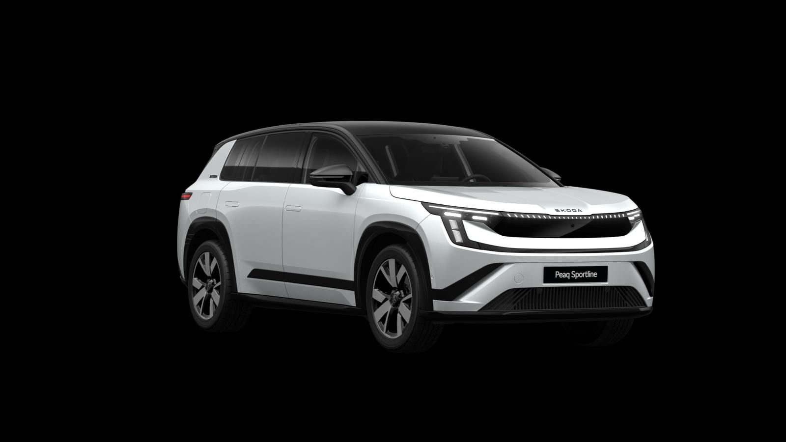 Skoda Andere - Bild 7