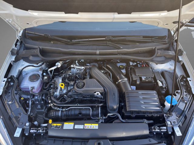 Taigo R-Line 1,5 l TSI 110 kW 150 PS 7-Gang-Dopp