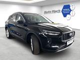 Ford Kuga Titanium 1.5 EcoBoost Aut. NAVI LED HEAD-UP - Ford: Schwarz