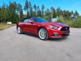 Ford Mustang Basis Convertible - Ford: Cabrio
