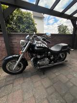 Triumph America - TRIUMPH AMERICA
