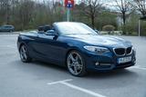 BMW 220i Cabrio Sport Line NAVI LEDER XENON 19" - BMW 220 in München