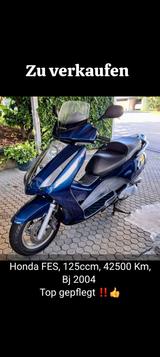 Honda FES   125  Pantheon  - HONDA FES 125 PANTHEON