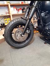 Harley-Davidson Dyna Street Bob - Umbau Bobber - Harley-Davidson Motorräder in Bonn