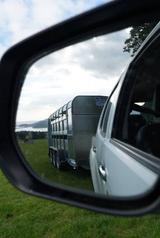 Ifor Williams Vieh-Anhänger TA510+3.5T+Alu+Trennwand - Ifor Williams LKWs