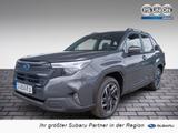 Subaru Forester 2.0ie Exclusive AWD NAVI ACC LED 360° - Subaru Forester Neuwagen