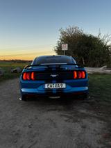 Ford Mustang 2.3 EcoBoost Auto - SHELBY KIT - Ford Mustang in Berlin