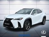 Lexus UX 250 2.0 Hybrid Design 2WD Power Split D - Lexus UX aus 2023