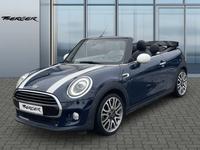 MINI Cooper C Cabrio Yours Chilli-Paket SHZ