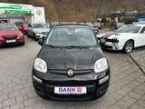 Fiat Panda Easy*2.HAND*KLIMA*E.FNST*BLACK*PDC*TOP - gebrauchte Fiat Panda aus dem Jahr 2018