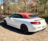 Mercedes-Benz C 300 Autom. - Night Edition - Service neu  - Mercedes-Benz: Weiß, Cabrio