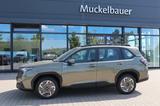 Subaru Forester 2.0ie Trend MJ 2025 neues Modell - Subaru Forester: Trend