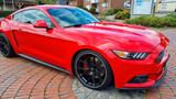 Ford Mustang - Einzelstück  - Ford Mustang in Osnabrück
