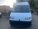 Fiat Ducato - Fiat Ducato aus 1996