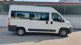 Peugeot Boxer Kombi 333 L2H2 Active Blue-HDi 130,9 Sitze - Peugeot Boxer: 1.9