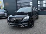 Mercedes-Benz ML 500 AMG Sport H&K NETTO - Mercedes-Benz ML 500: AMG