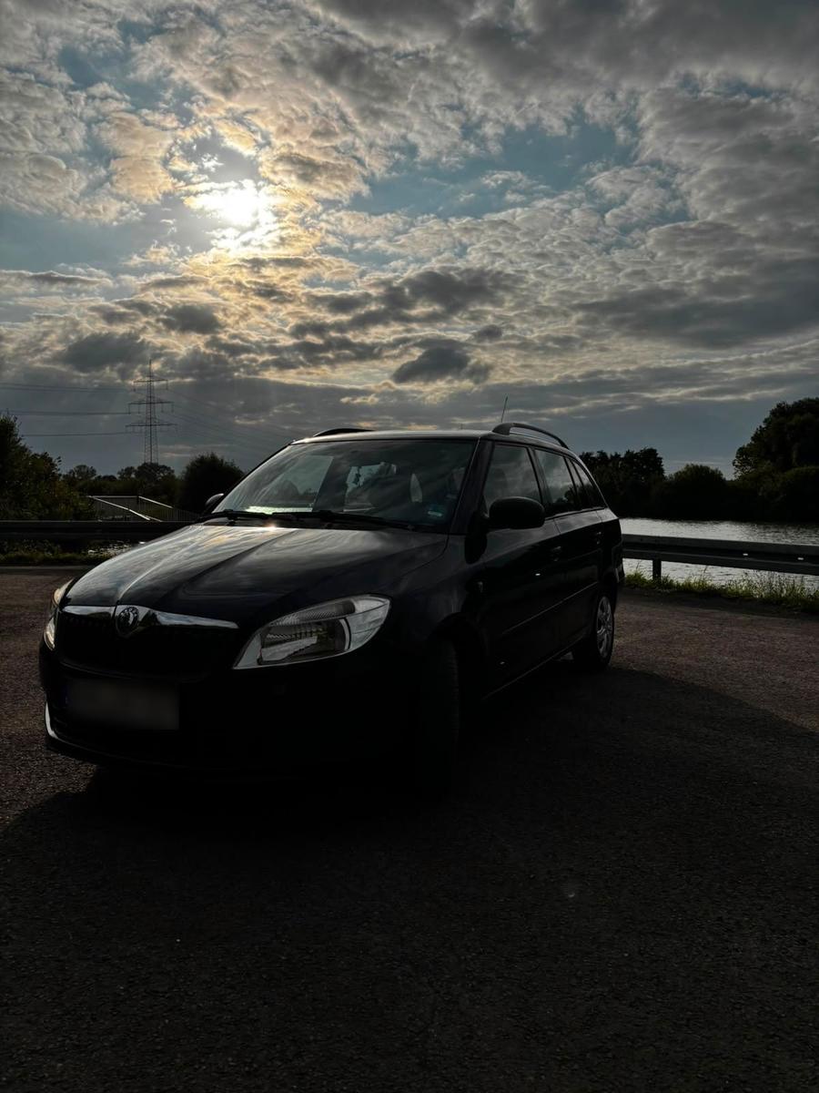 Skoda Fabia, 2010