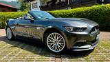 Ford Mustang 5.0 GT, Cab., scheckhft, SommerFzg, 1.Hd - Ford Mustang mit Benzin-Antrieb: Cabrio, 5.0