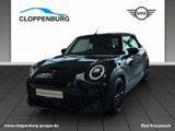 MINI Cooper S Cabrio Head-Up+HK+LED+RFK+SHZ - MINI Cooper S Cabrio aus 2022