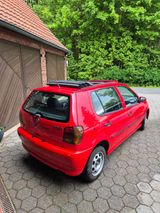 Volkswagen VW Polo 6n Open Air - Volkswagen Polo: 6n Open