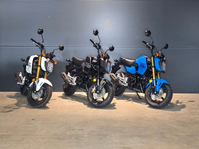 Honda MSX 125 Grom I 2025 | SOFORT | Alle Farben