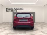 Ford Fiesta Trend*1 Hand*42.758km* TÜV Neu - Ford Fiesta aus 2009: Trend