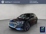 Audi e-tron 50 quattro - graue Audi e-tron