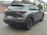 Mazda CX-30 Homura *HUD*R.Kamera*CarPlay*PDCv&h*  - Mazda CX-30 von privat