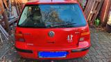 Volkswagen Golf IV 1.9SDI Basis für Export - Volkswagen Golf: Sdi