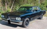 Pontiac Tempest Custom Coupe mit GTO-POWER - gebrauchte Pontiac Coupés