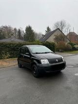 Fiat Panda 1,1 - Fiat Panda Gebrauchtwagen in Bremen
