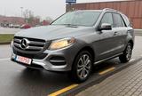 Mercedes-Benz GLE 350 petrol 225kw 4MATIC - Mercedes GLE 350 Benzin Gebrauchtwagen