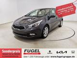 Kia Ceed 1.6 GDI Edition 7 SHZ|PDC|Klima - Kia cee'd / Ceed in Chemnitz