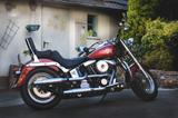 Harley-Davidson Fat Boy US Import 1 Hand 9038 km TÜV 2027  - HARLEY-DAVIDSON 1994