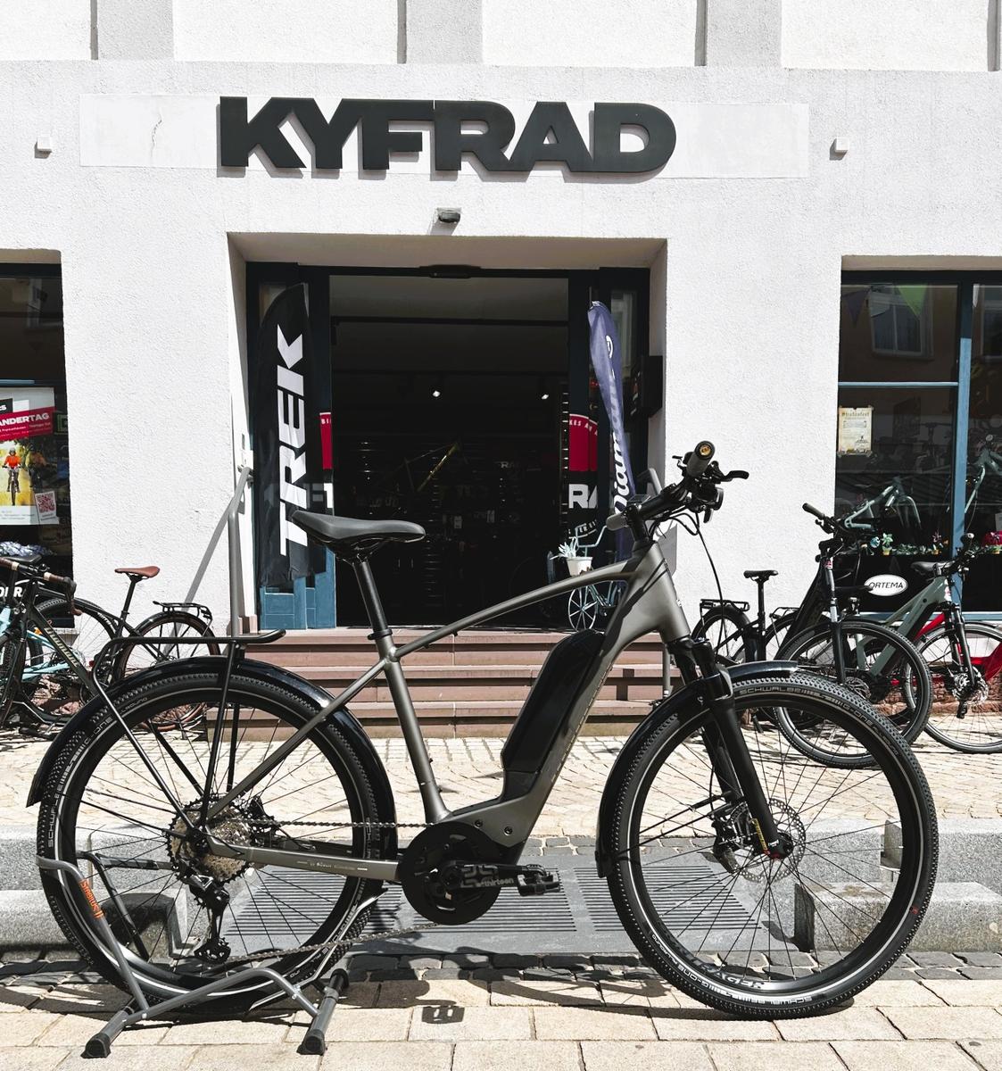 Diamant Zing Super Deluxe * Bosch CX * 85Nm * 725Wh *