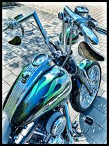 Harley-Davidson CVO SPRINGER FXSTSSE  - HARLEY-DAVIDSON FXSTS