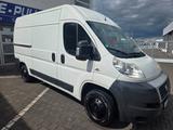 Fiat Ducato HOCH/LANG/AHK/FG-NR49 - Fiat Ducato in Leverkusen