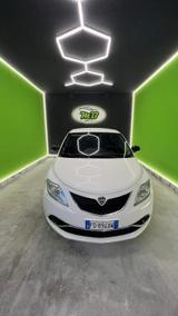 Lancia Ypsilon 1.2 69 CV 5 porte Platinum - Lancia Ypsilon aus 2016
