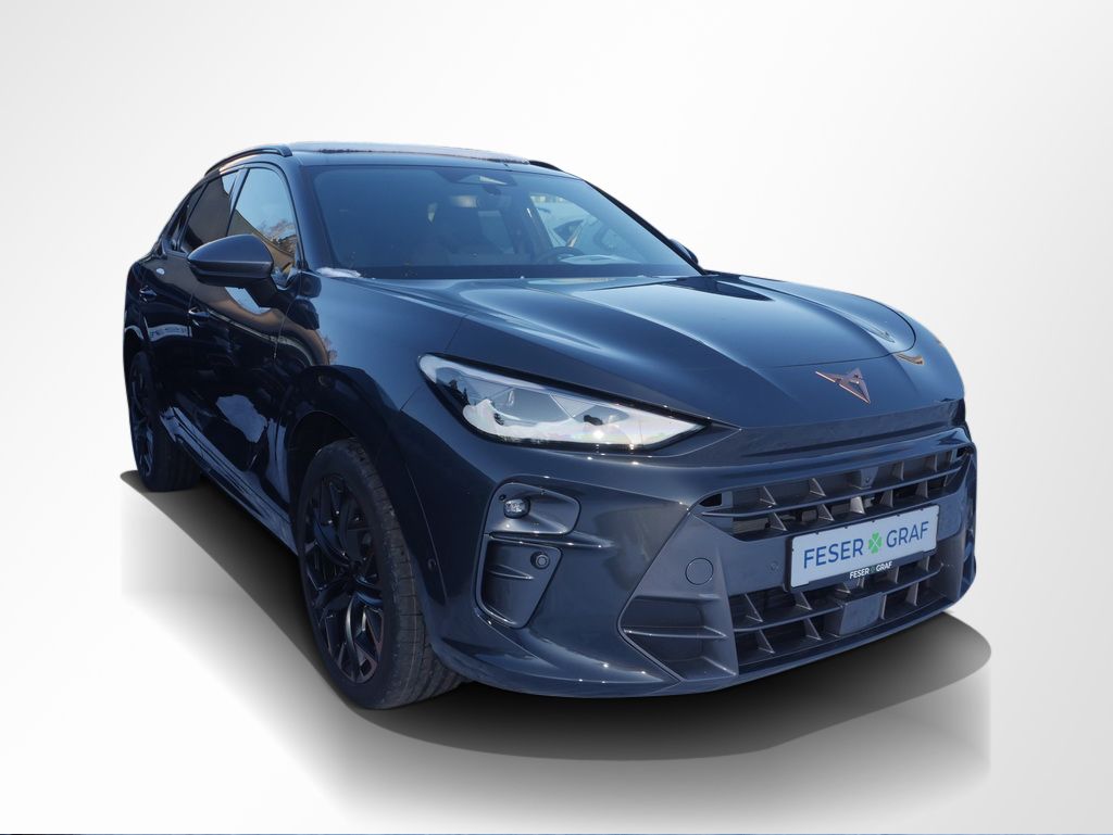 Cupra Terramar - Bild 2