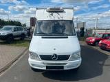 Mercedes-Benz Sprinter 413 CDI KÜHLKOFFER - Mercedes-Benz Sprinter: 413cdi